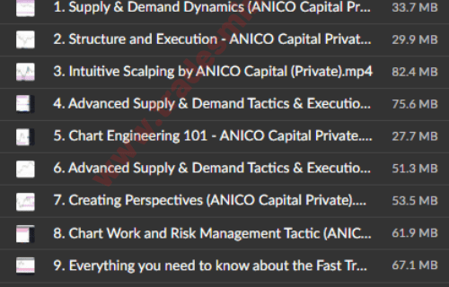 ANICO Capital – Private Mentorship - Image 2