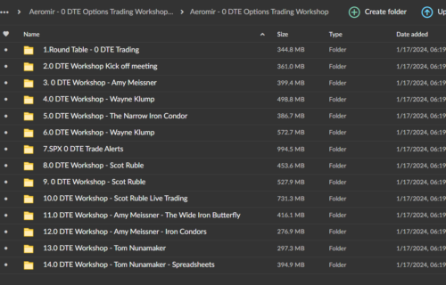 Aeromir – 0 DTE Options Trading Workshop - Image 3