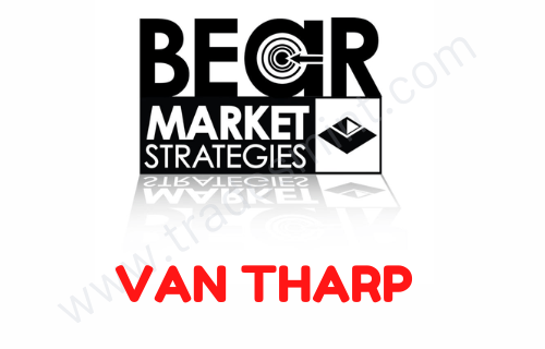 Bear Market Strategies eLearning Course