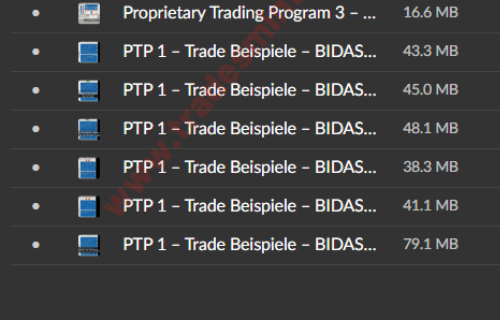 Bidasktrader – Proprietary Trading Program - Image 3