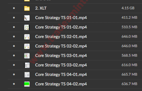 Core Strategy Program + Extended Learning Track [XLT] - Image 2