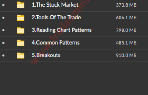 Dekmar Trades – The Ultimate Trading Course - Image 3