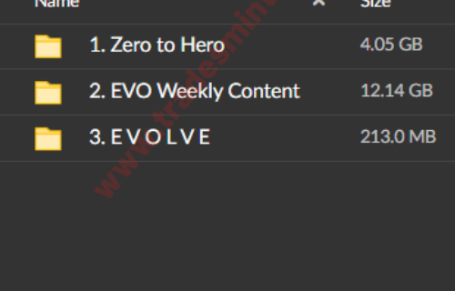 EVO Capital – Zero to Hero Course - Image 2