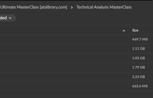 FXEvolution – Options Trading & Ultimate MasterClass - Image 5