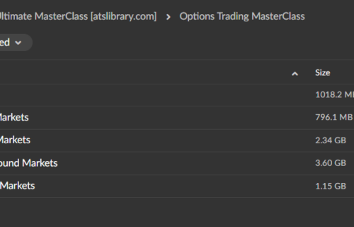 FXEvolution – Options Trading & Ultimate MasterClass - Image 3