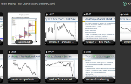 Feibel Trading – Tick Chart Mastery - Image 2