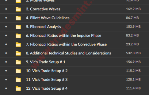 Forex Training Group – High Probability Trading Using Elliott Wave and Fibonacci Analysis - Image 2