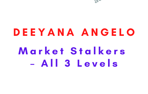 Market Stalkers – All 3 Levels