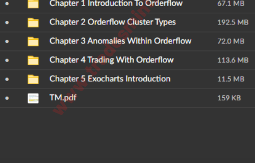 PrimeTrading – The Orderflow Masterclass - Image 2