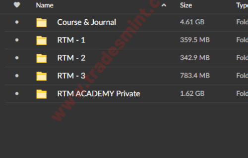 RTM Academy – Master Traders Training Program - Image 2