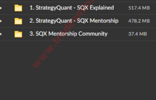 TipToeHippo – Strategy Quant Mentorship - Image 2