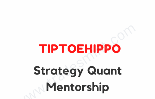 TipToeHippo – Strategy Quant Mentorship