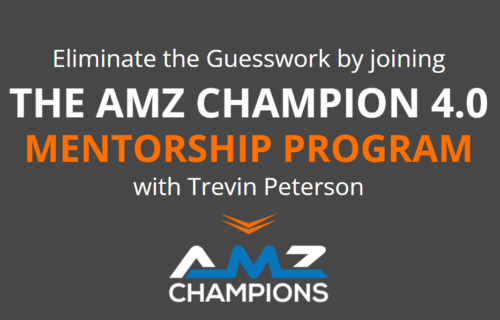 The Amz Champion 4.0 Mentorship Program 2021