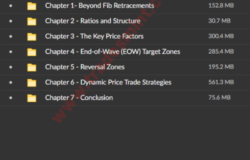 The Dynamic Trading Master Course - Image 4