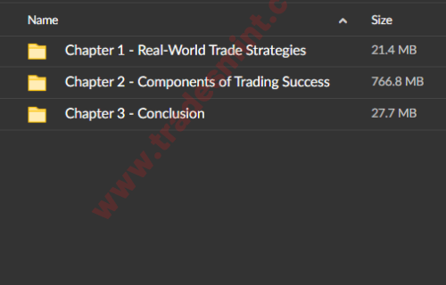 The Dynamic Trading Master Course - Image 7