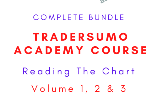 TraderSumo Academy Course