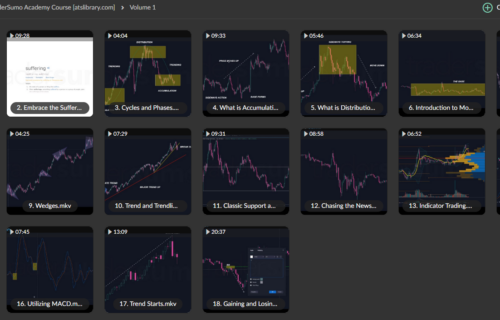 TraderSumo Academy Course - Image 4