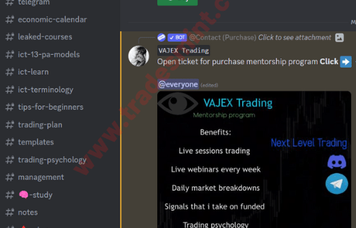 Vajex Trading Mentorship Program - Image 2