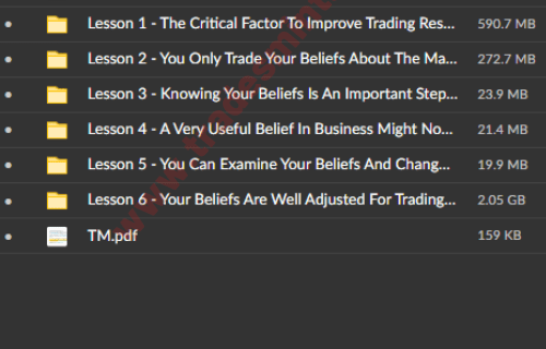 Van Tharp – The Power of Beliefs in Trading - Image 2