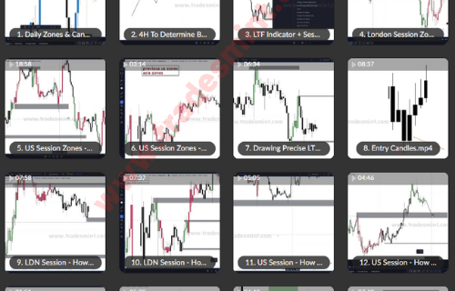 WealthFRX Master Trading Course 2.0 - Image 3