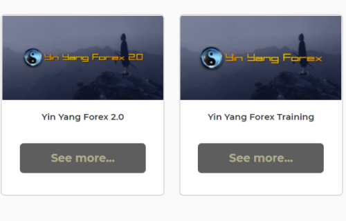 Trading Mastermind – Yin Yang Forex Training Program