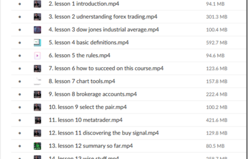 20 Minute Trader – Forex Masterclass - Premium - Image 2