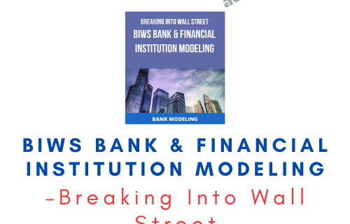 Breaking Into Wall Street – BIWS Bank & Financial Institution Modeling - Premium