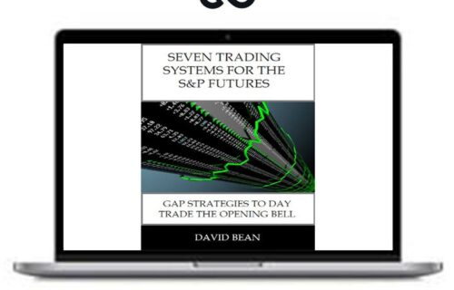 David Bean – Seven Trading Systems for The S&P Futures - Premium Courses