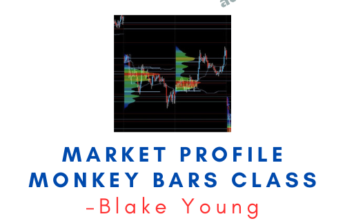 Blake Young – Market Profile Monkey Bars Class