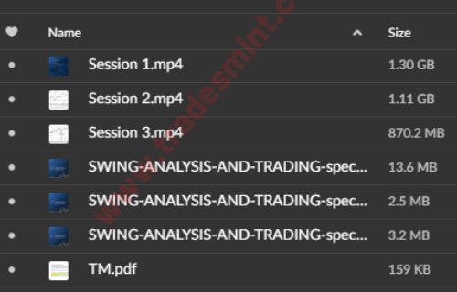 Roman Bogomazov - Mastering Swing Trading Course - Image 2