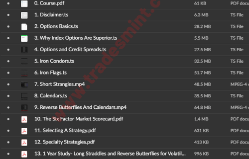 Perfect Strategy - SPX Monthly Options Income - Image 2